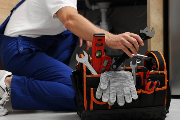 Best Same-Day Plumbing Service  in Perham, MN