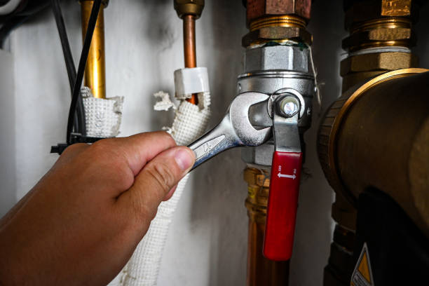 Best Shower Repair Services  in Perham, MN